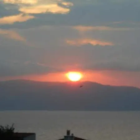 Alexandra Sofia Stafylos