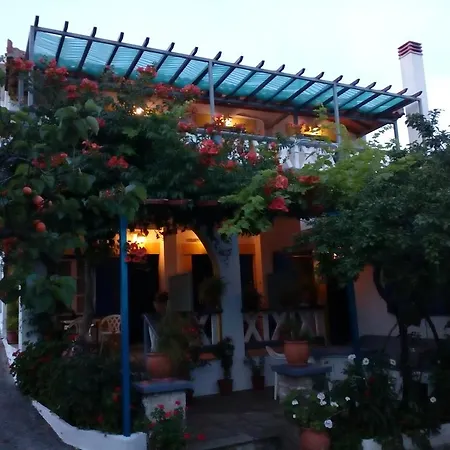 Alexandra Sofia 스타피로스