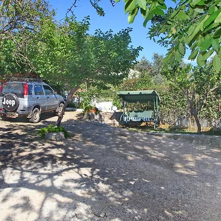 Alexandra Sofia 스타피로스