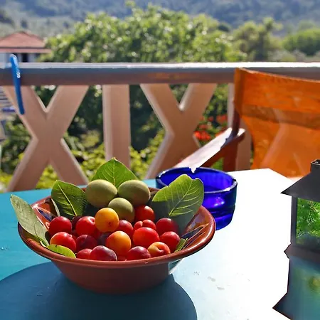 Alexandra Sofia * 스타피로스