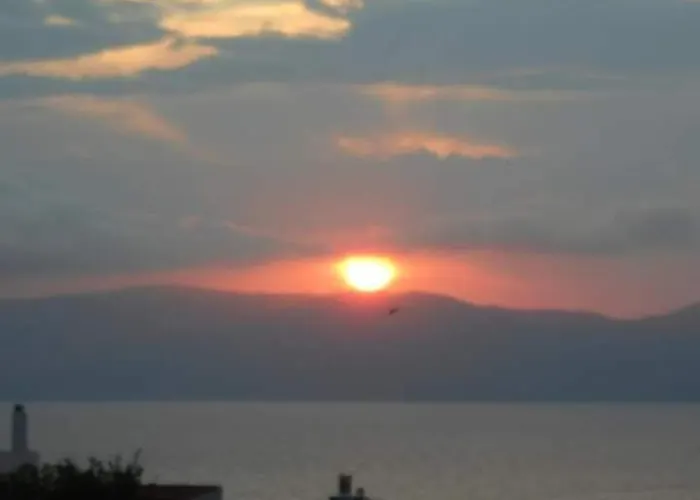 Alexandra Sofia סטפילוס