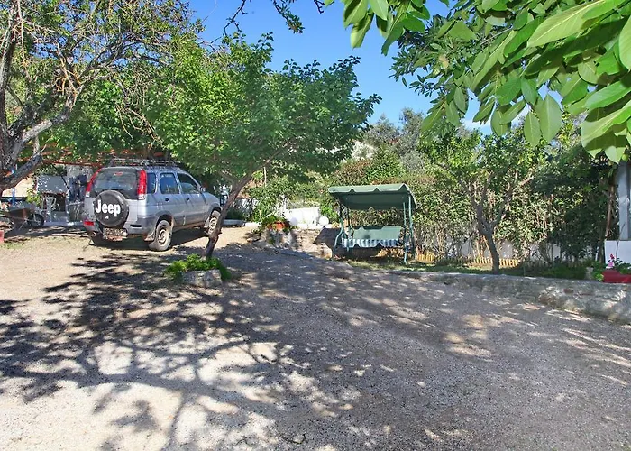 Alexandra Sofia סטפילוס